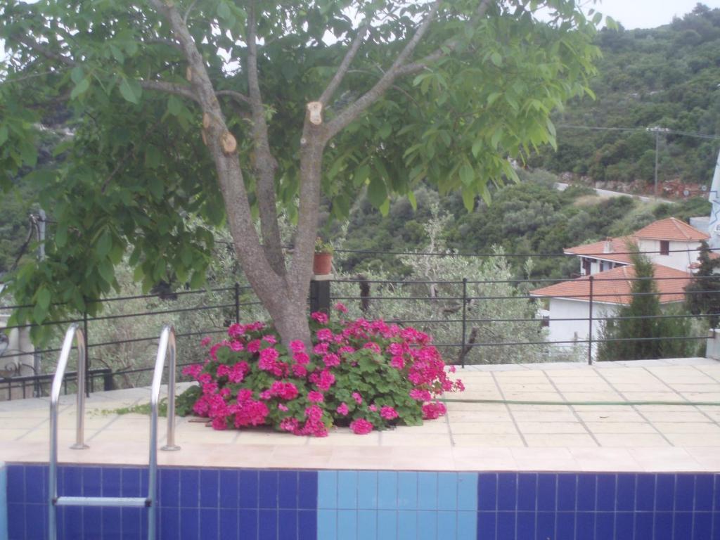 Pelagos Stafylos Chambre photo